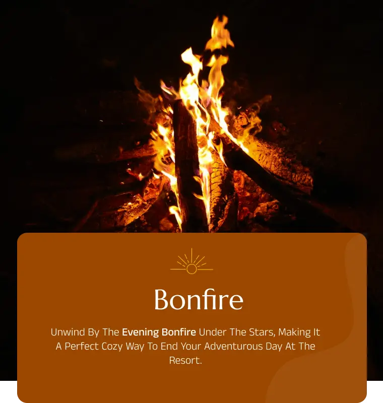 /images/bonfire_activities.webp