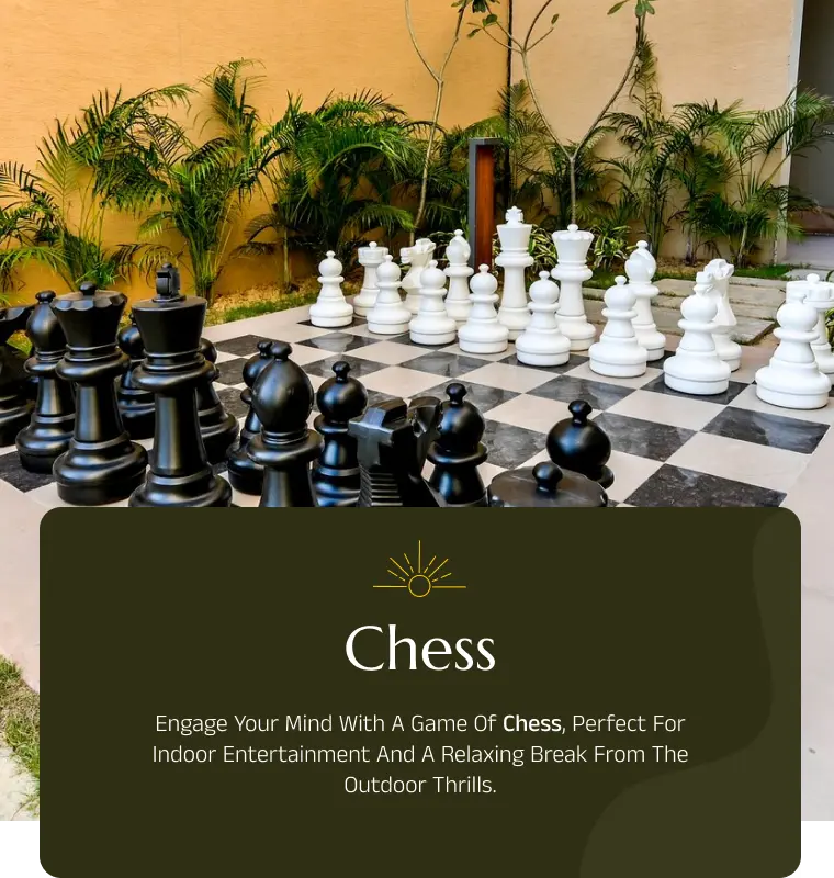 /images/chess_activities.webp