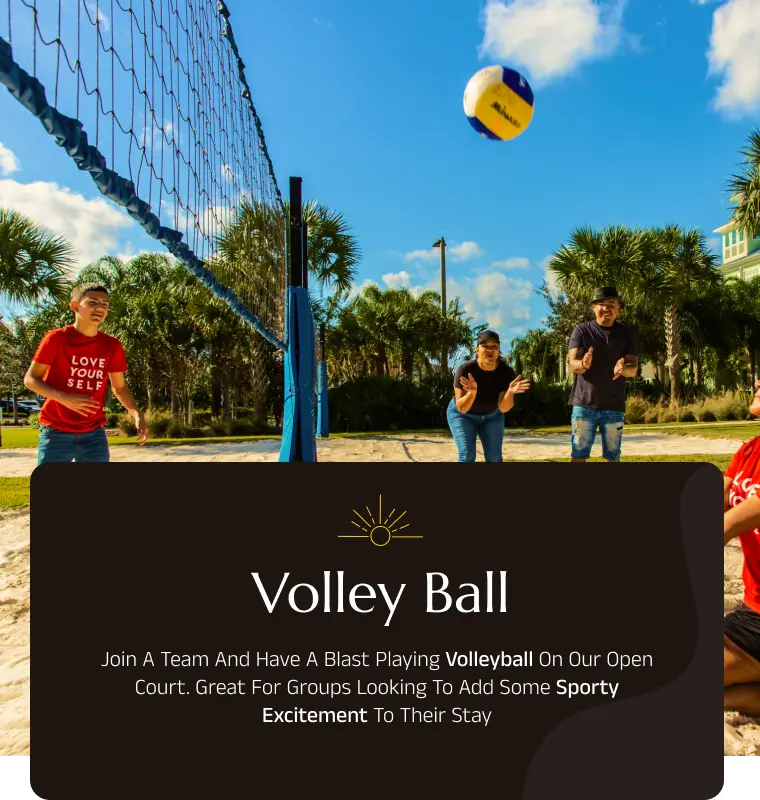 /images/volley_ball_activities.webp