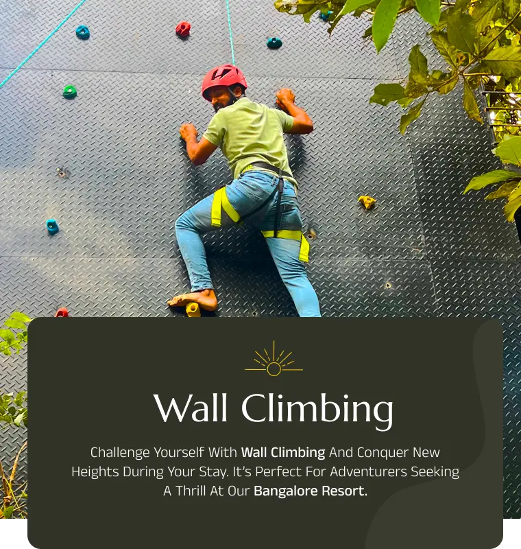 /images/wall_climbing_activities.webp